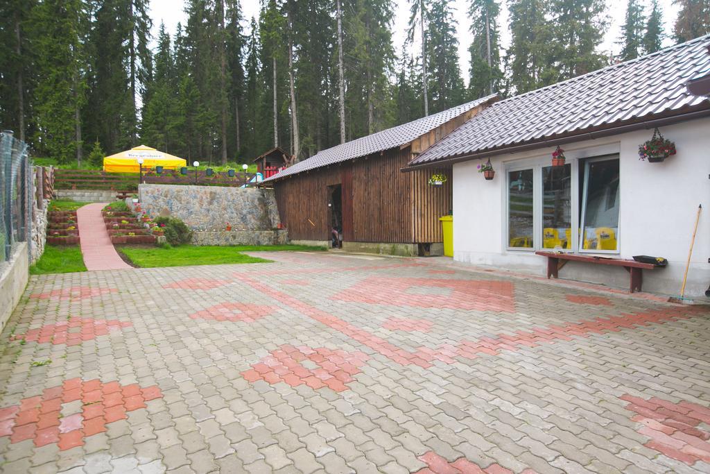 Pensiunea Viki Tău Bistra Exterior foto
