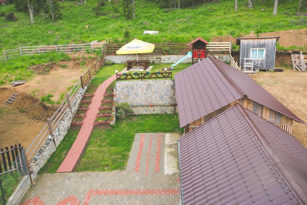 Pensiunea Viki Tău Bistra Exterior foto